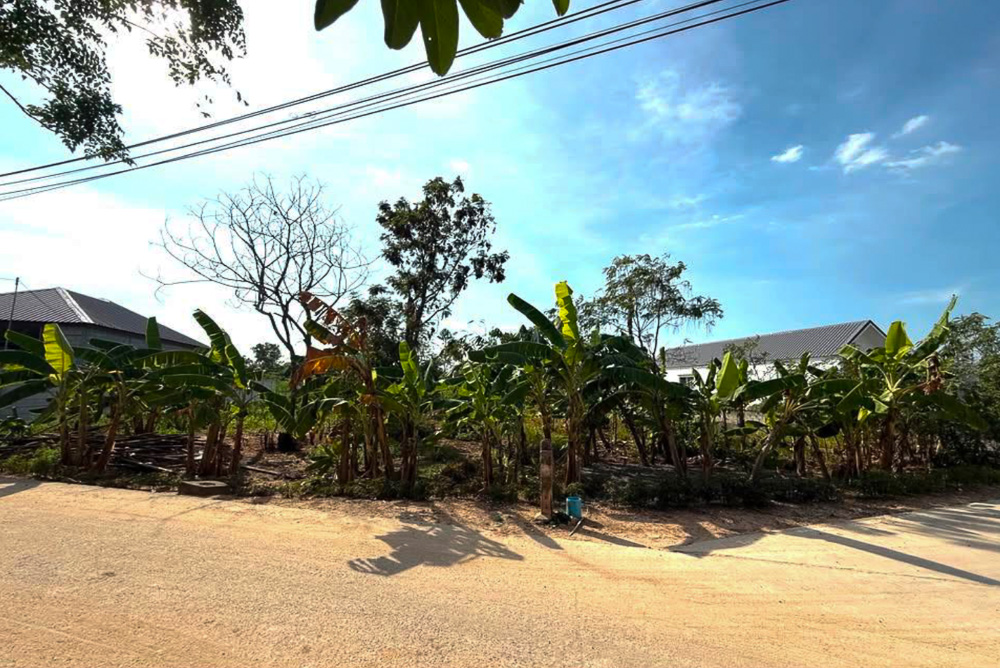 Land for Sale in Nong Yai-5