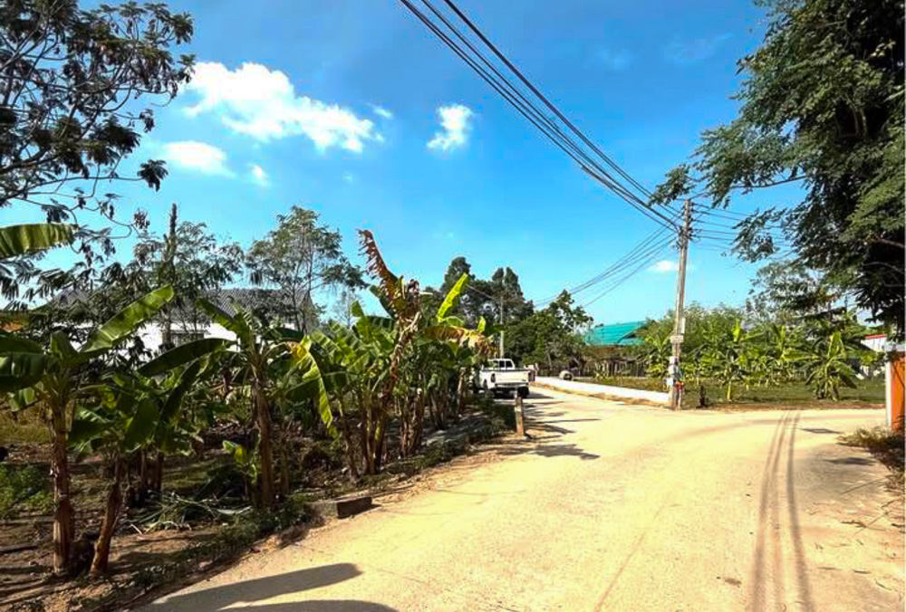 Land for Sale in Nong Yai-6