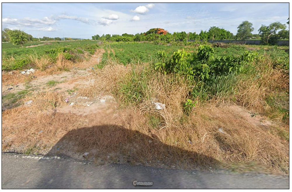 34-Rai Land for Sale-5
