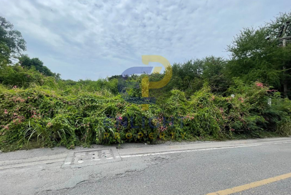 Beachfront Land for Sale-5