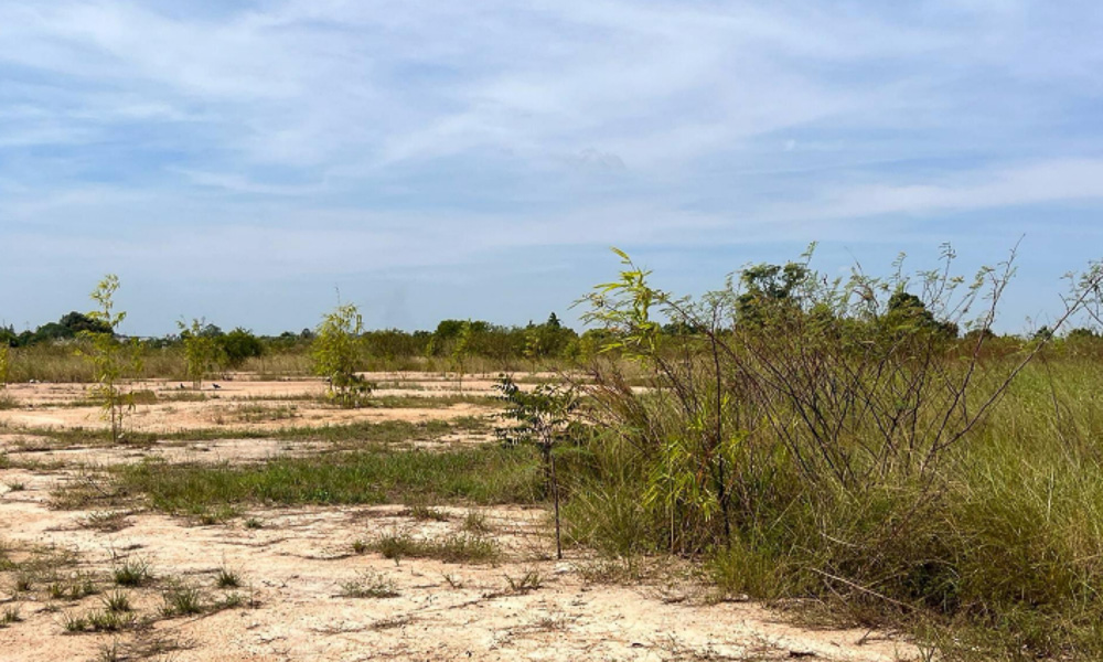 Land for Sale in Takhian Tia-6