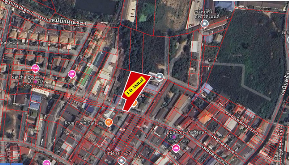 Land for Sale in Paniad Chang-3